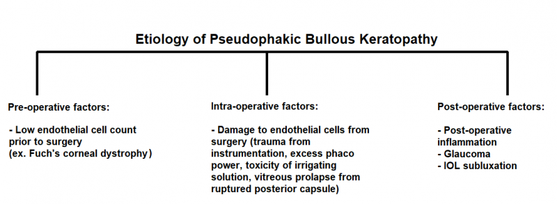 File:Mechanism of PBK.png
