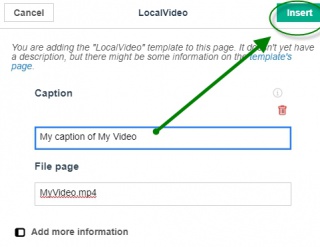 4. Once you have 2 fields: File page AND Caption with their associated values, click Insert to add the LocalVideo template.