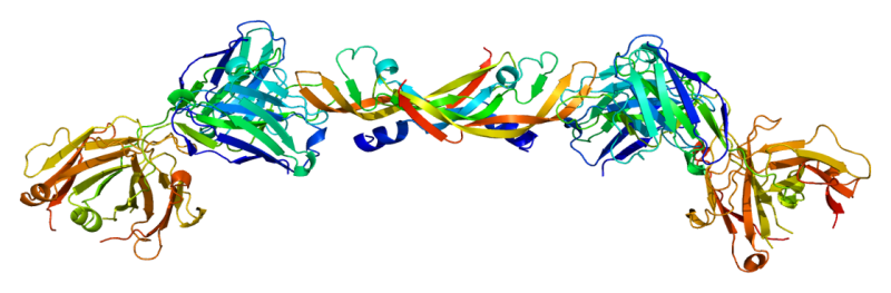 File:VEGF-A.png