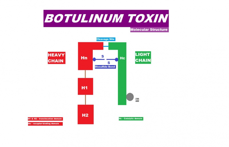 File:Btx molecule AAO.jpg