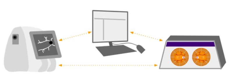 File:Header figure.jpg
