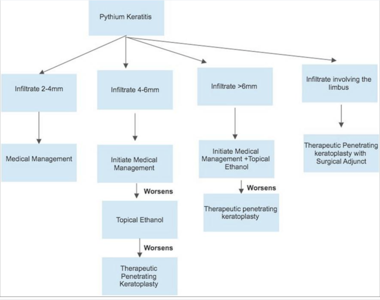 File:Figure 10 Eyewiki.png
