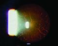 Thumbnail for version as of 16:44, May 9, 2023