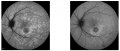 Thumbnail for version as of 13:26, November 28, 2021