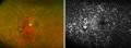 Thumbnail for version as of 15:13, August 22, 2021