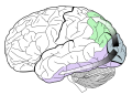 Thumbnail for version as of 07:52, May 31, 2016