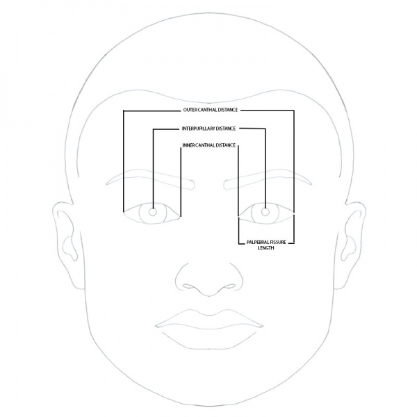 File:Face-with-captions.jpg