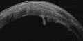 Thumbnail for version as of 07:17, May 9, 2024