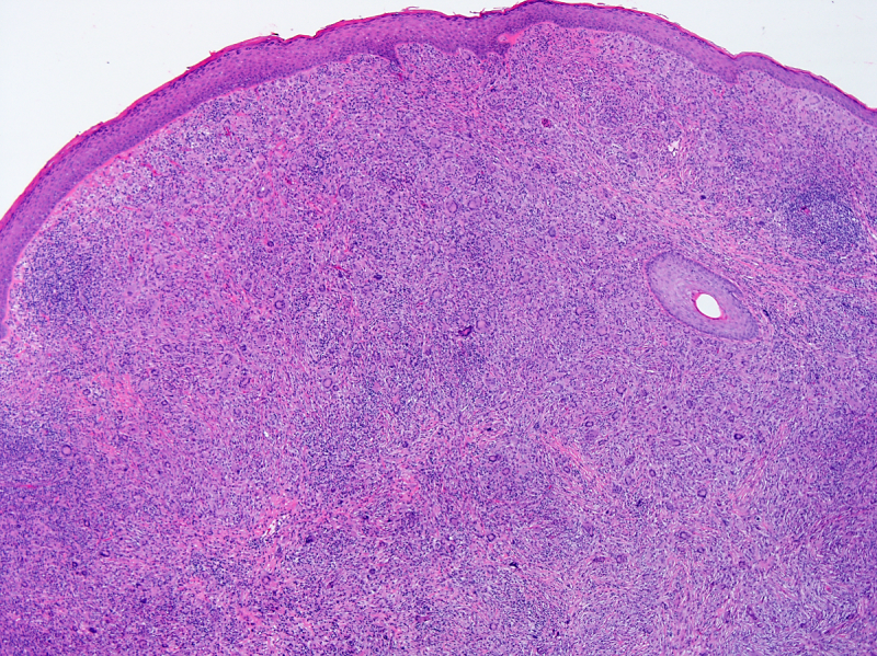 File:JXG Figure 4.png