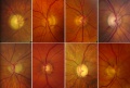 Thumbnail for version as of 21:15, November 12, 2014