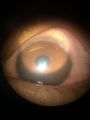 Thumbnail for version as of 09:34, May 10, 2023