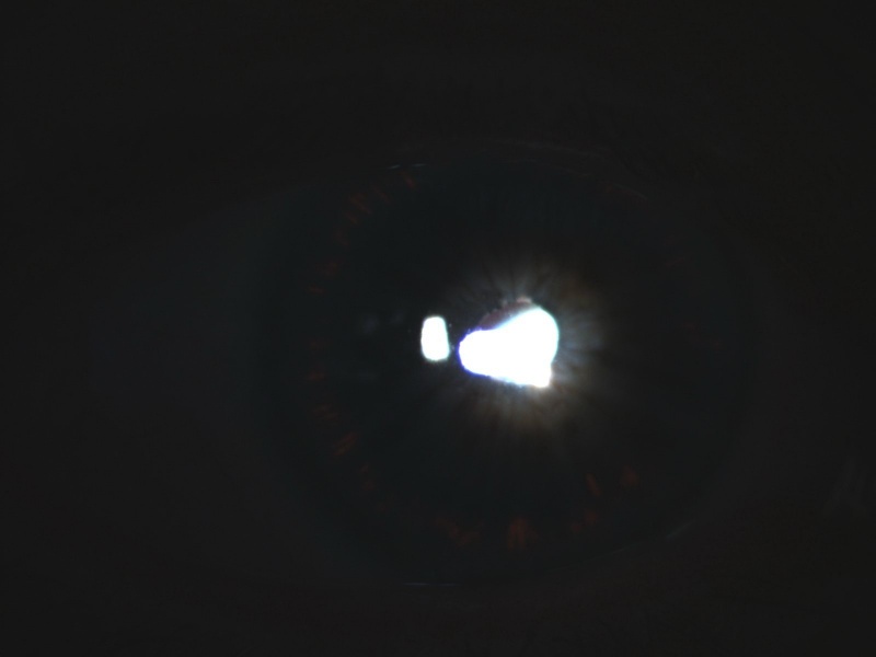 File:PG TID.jpg