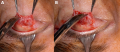 Thumbnail for version as of 22:51, September 10, 2026