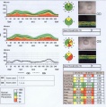 Thumbnail for version as of 13:17, July 5, 2010
