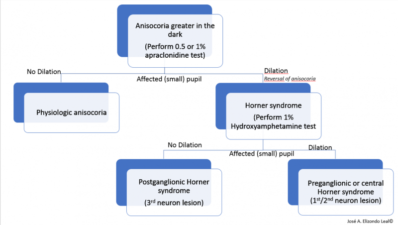 File:Raeder Figure 3.png
