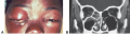 Thumbnail for version as of 08:52, May 8, 2023