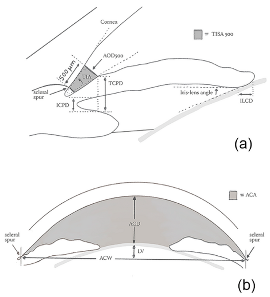 File:Figure 1.webp