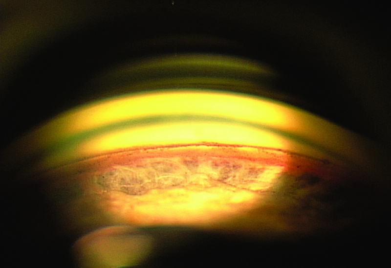 File:GON 9-54.jpg
