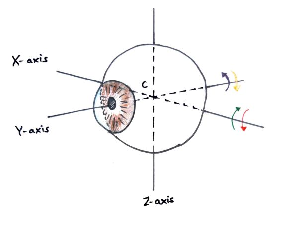 Strabismus Surgery, Cyclovertical - EyeWiki