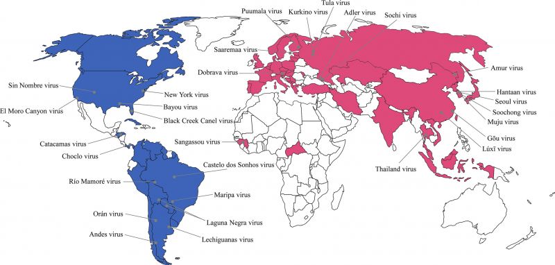 File:Hantavirus Worldwide.jpg