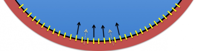 File:Vitreoretinal interface bonds.jpg