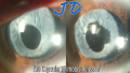 Thumbnail for version as of 23:41, June 19, 2019