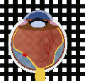 Thumbnail for version as of 08:06, May 27, 2022