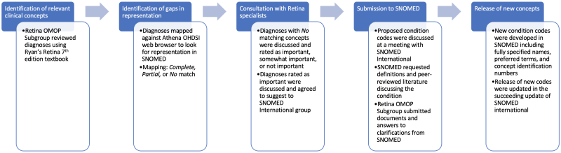 File:Retina Process Overview.png