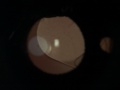 Thumbnail for version as of 17:08, December 1, 2015