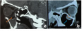 Thumbnail for version as of 16:29, June 1, 2021