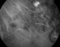 Thumbnail for version as of 17:10, November 29, 2013