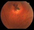 Thumbnail for version as of 15:19, December 1, 2012