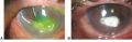 Thumbnail for version as of 13:30, June 28, 2026