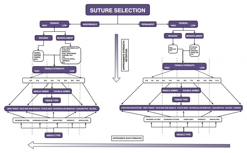 File:Suture.jpg