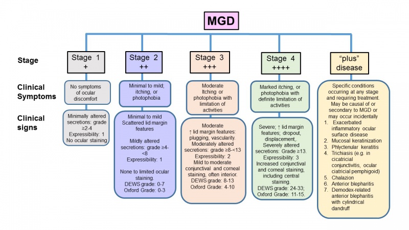 File:Fig 6.jpg