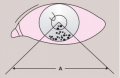 Thumbnail for version as of 08:51, February 19, 2021
