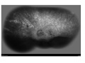 Thumbnail for version as of 11:56, June 17, 2012