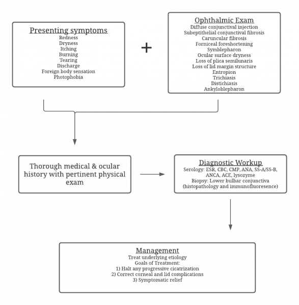 File:Flowchart.png