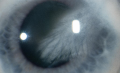 Thumbnail for version as of 14:28, August 5, 2019