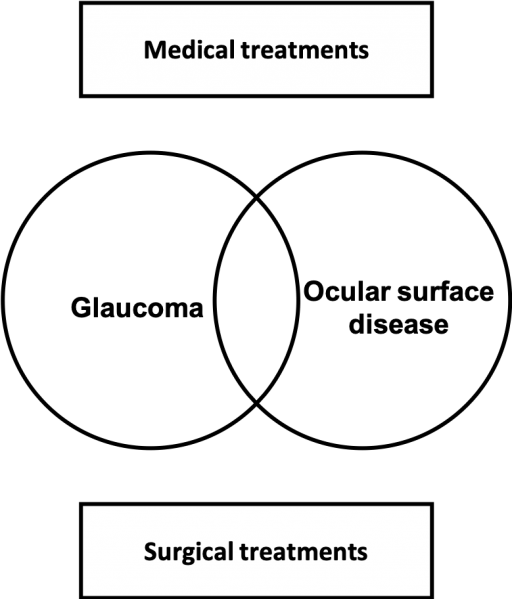 File:Ocular surface diagram.png