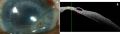 Thumbnail for version as of 18:19, October 18, 2022