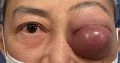 Thumbnail for version as of 17:48, December 8, 2021