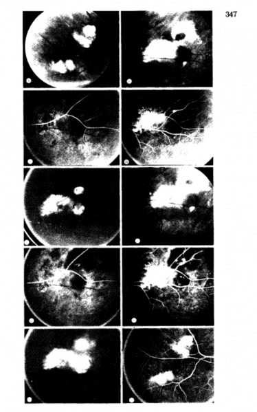 File:Page from Annesley.jpg