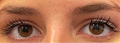 Thumbnail for version as of 12:54, December 8, 2021