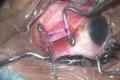 Thumbnail for version as of 02:58, May 31, 2023