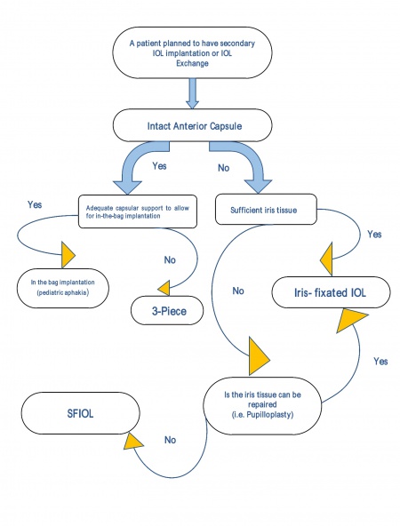 Secondary Intraocular Lens (IOL) Implantation - EyeWiki