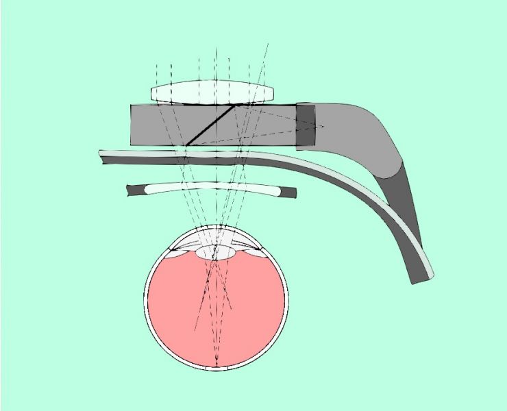 File:1548505194557~01.jpg