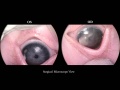 Thumbnail for version as of 10:58, April 12, 2012