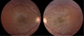 Thumbnail for version as of 18:25, October 20, 2012