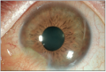 Thumbnail for version as of 08:13, November 30, 2012